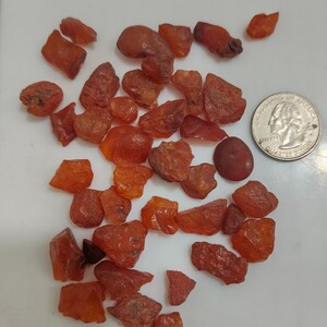 Op de afbeelding: Een verzameling van ongeveer 30 kleine, ruwe, rood-oranje barnsteenstenen. De stenen zijn van verschillende vormen en maten, sommige zijn ronder en andere hoekiger. Een Nederlandse 2-euro munt is opgenomen voor de schaal.