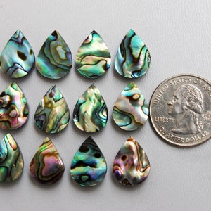 Abalone-snäckskal droppformad cabochon: Paua platta pärlor, gör-det-själv-smycken (10 x 14 mm 12 x 16 mm 13 x 18 mm)