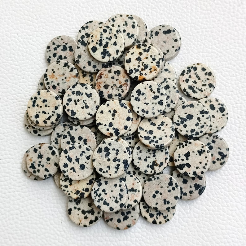 16mm Dalmatian Jasper Flat Round Gemstone, Jasper Round Both Side Flat ...