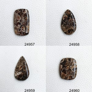 Turritella Cabochon, Natural Turritella Gemstone, Turritella Agate Crystal, Turritella Fossil Beads For Wire-wrap, Pendants, Rings, Jewelry