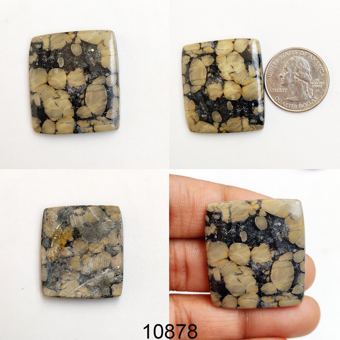 caribsea oolite caribsea oolite