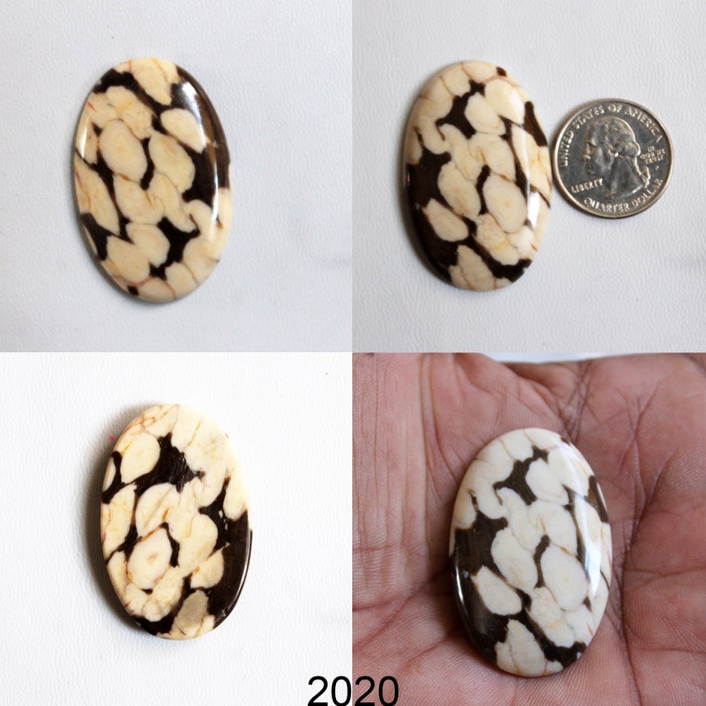 Petrified Peanut Wood Jasper Pendants Jewelry Supply Jasper Beads Healing Jasper Crystals for Wire-wrap Rings Peanut Wood Cabochon Stone