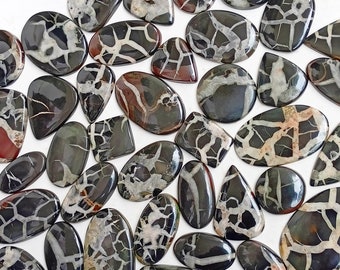 May include: A collection of 25 black and white agate cabochons with a dendritic pattern. The cabochons are various shapes and sizes, with some having a reddish hue.