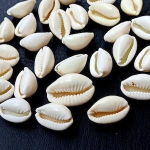 White Cowrie shells, Cowrie shell beads, Bulk Cowries, natural shells, Cowrie seashells, DIY shell Jewelry supplies, Shiva Shell Wholesale