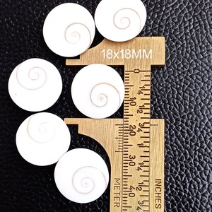 Op de afbeelding: Zes witte schelpen met een spiraalvormig patroon, gemeten met een liniaal die 18x18MM aangeeft. De liniaal is van hout en heeft markeringen in inches en centimeters.