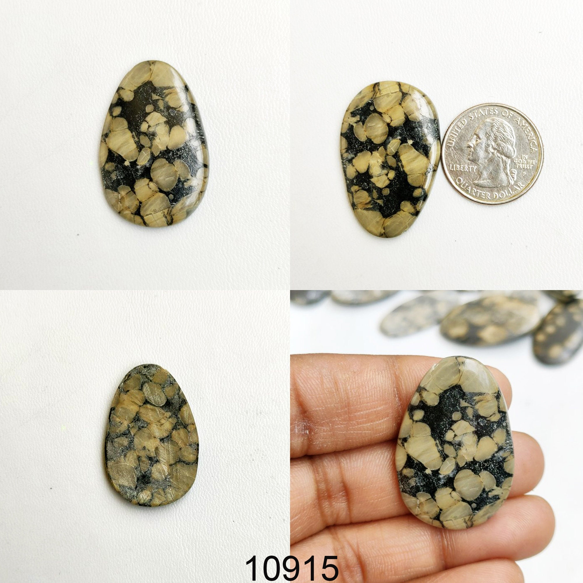 oolite fossil oolite fossil