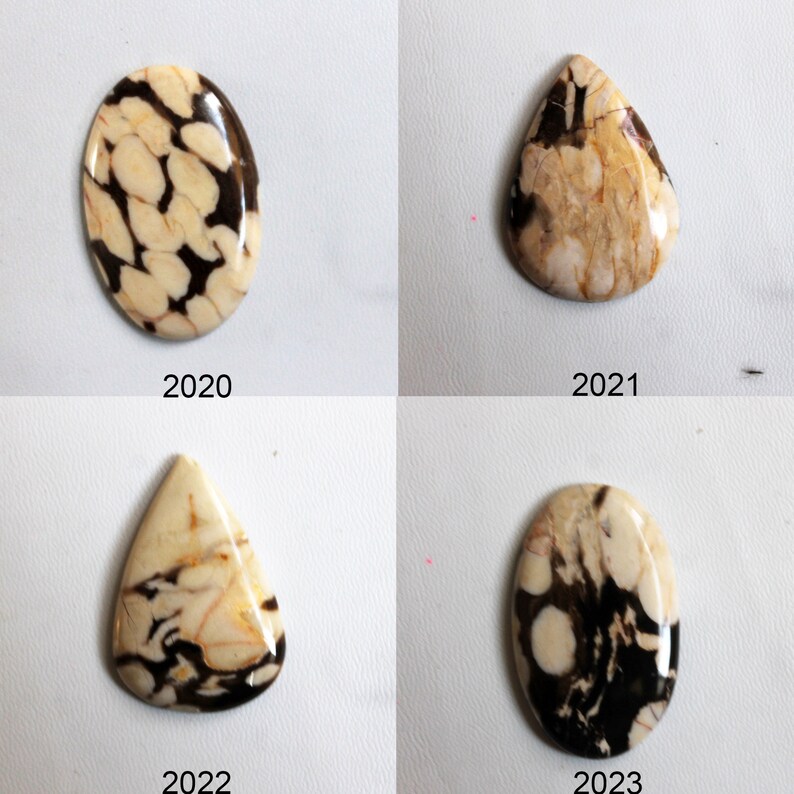 Petrified Peanut Wood Jasper Pendants Jewelry Supply Jasper Beads Healing Jasper Crystals for Wire-wrap Rings Peanut Wood Cabochon Stone