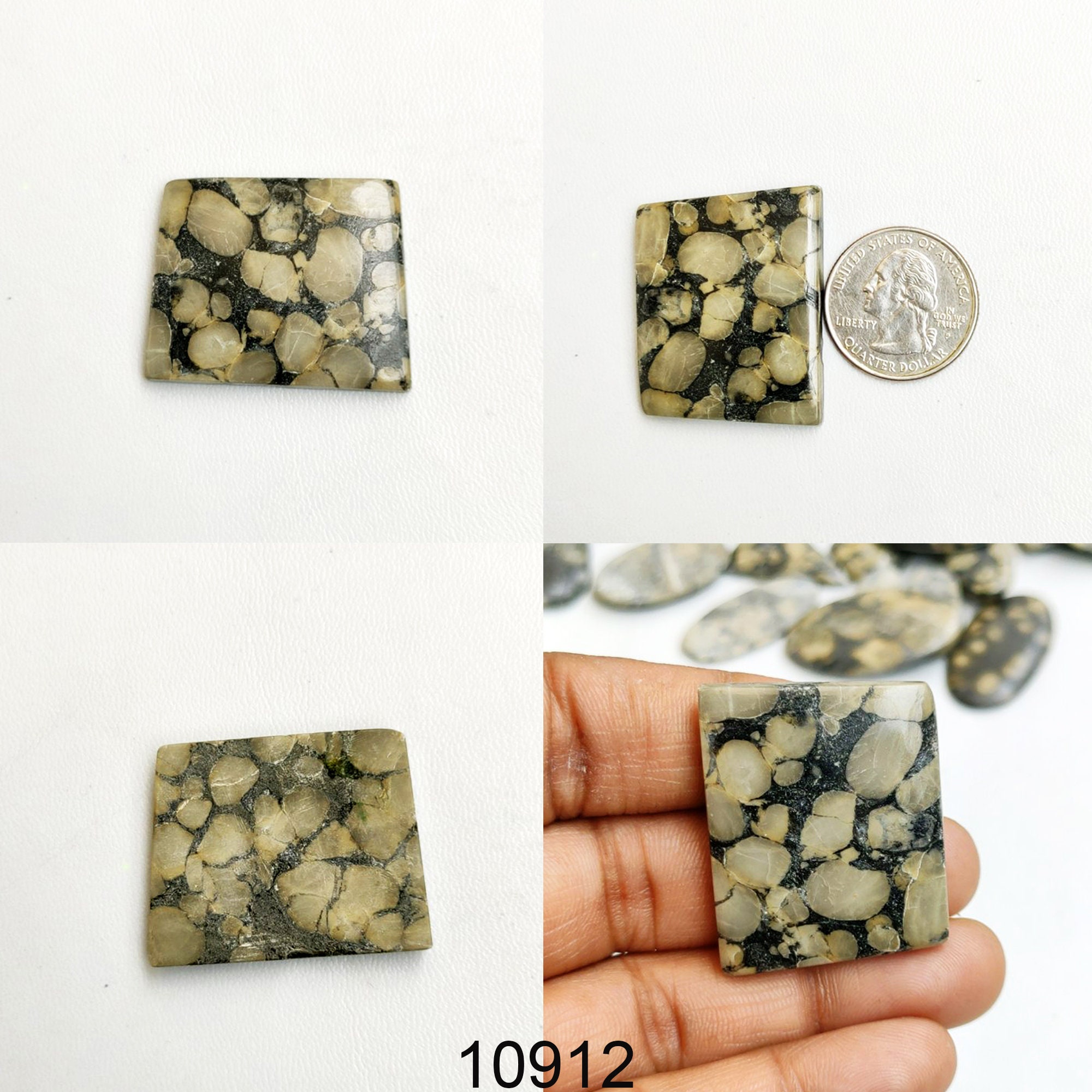 oolite fossil oolite fossil