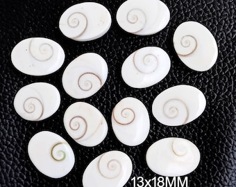 13x18 mm Shiva Auge Muschel Oval Cabochon, Shiva Auge Anhänger, Shiva Auge Edelstein für Armband, Halskette Schmuck kalibriert Stein