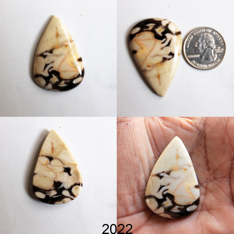Petrified Peanut Wood Jasper Pendants Jewelry Supply Jasper Beads Healing Jasper Crystals for Wire-wrap Rings Peanut Wood Cabochon Stone