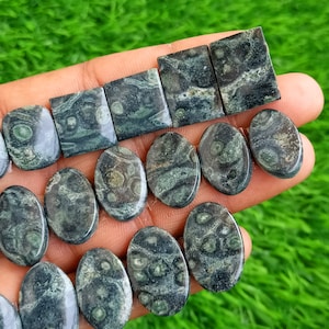 Star Galaxy Gemstone Pairs, Natural Kambaba Jasper Pair, Cabochons for Earrings, Matched Pair Stone for DIY Earrings Jewelry Supply