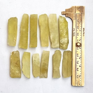 Puede incluir: Doce piezas de cristal de calcita amarillo verdoso, cada una de aproximadamente 2,5 cm de largo, dispuestas en dos filas sobre una superficie blanca. Se incluye una regla para la escala.