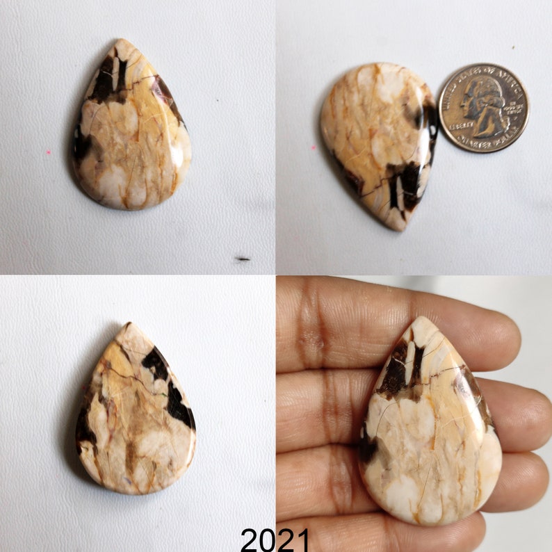 Petrified Peanut Wood Jasper Pendants Jewelry Supply Jasper Beads Healing Jasper Crystals for Wire-wrap Rings Peanut Wood Cabochon Stone