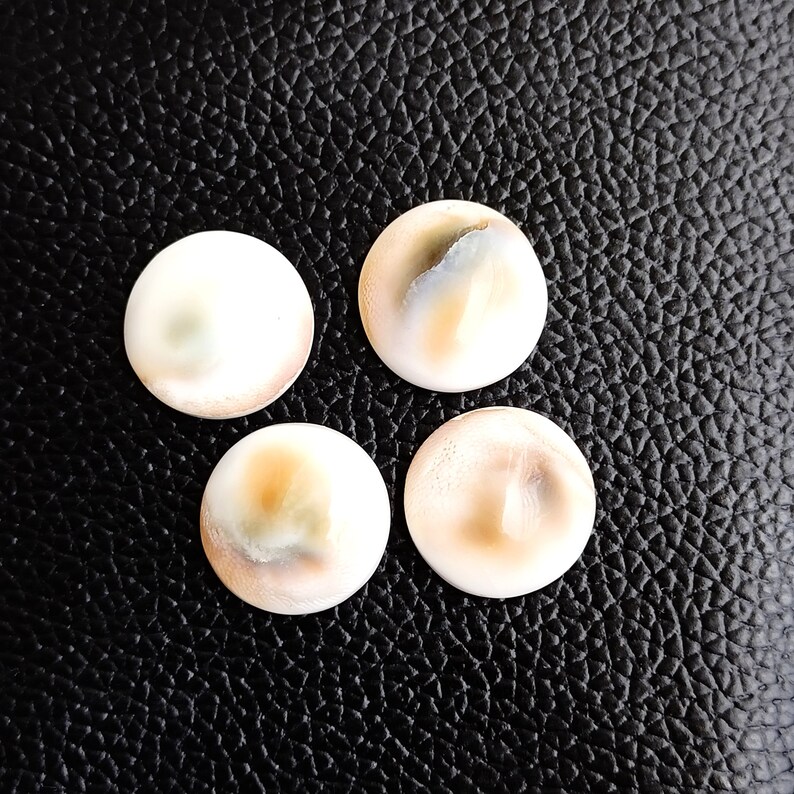 Op de afbeelding: Vier ronde, witte, iriserende schelpcabochons met bruine en grijze markeringen. De cabochons zijn in een vierkant op een zwart, getextureerd oppervlak gerangschikt.