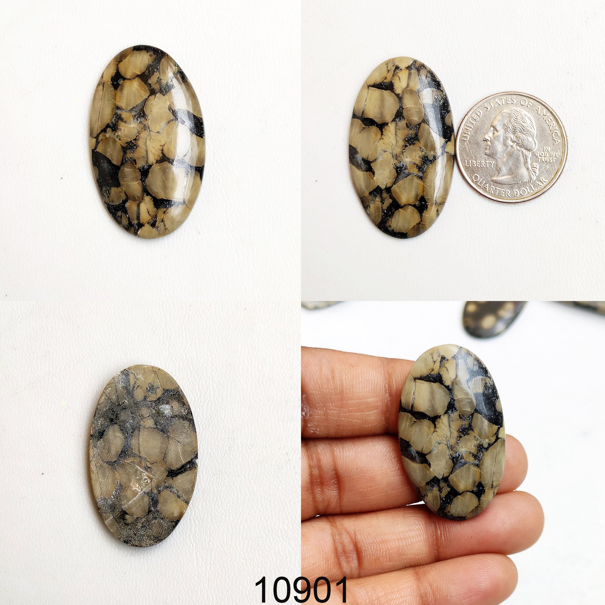 oolite fossil oolite fossil