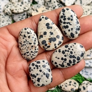 Puede incluir: Cinco cabujones de jaspe dálmata en varias formas y tamaños. Las piedras son de color beige claro con manchas negras.