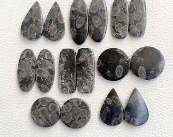 Par de corales fósiles negros, juego de pendientes de coral fósil, cabujones para pendientes, par a juego, par de corales a juego para la creación de joyas y regalos