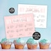 Cupcake Kit Instructions Template Editable Cupcake Decorating - Etsy