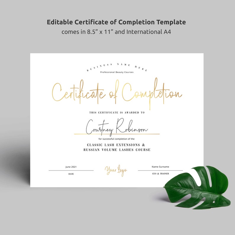 May include: A white certificate of completion with gold lettering. The certificate is awarded to Courtney Robinson for successful completion of the Classic Lash Extensions & Russian Volume Lashes Course. The date is June 2021.