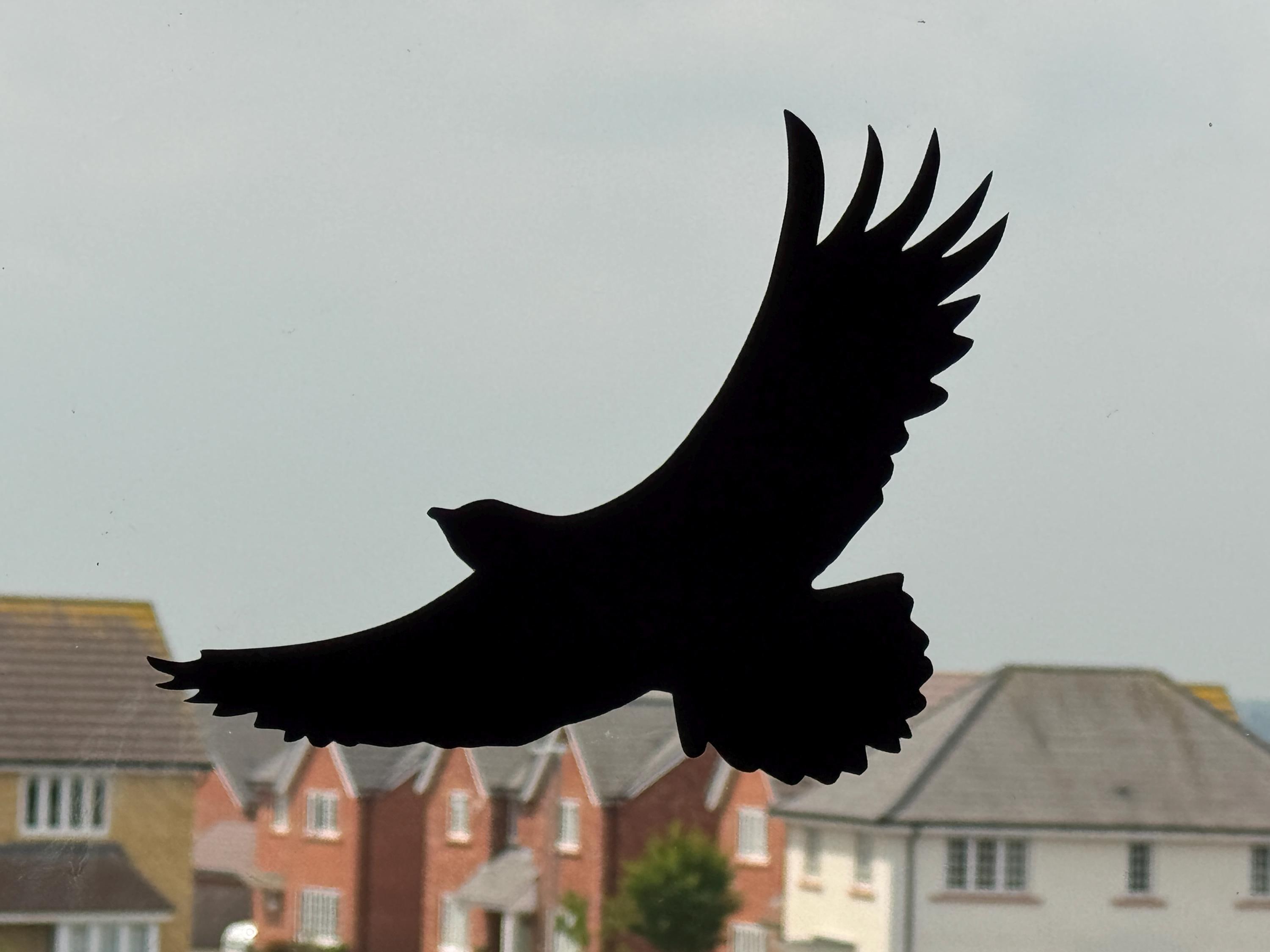 Window Hawk Sticker Vinyl - Bird Deterrent Window Hawk Silhouette, Anti-collision ...