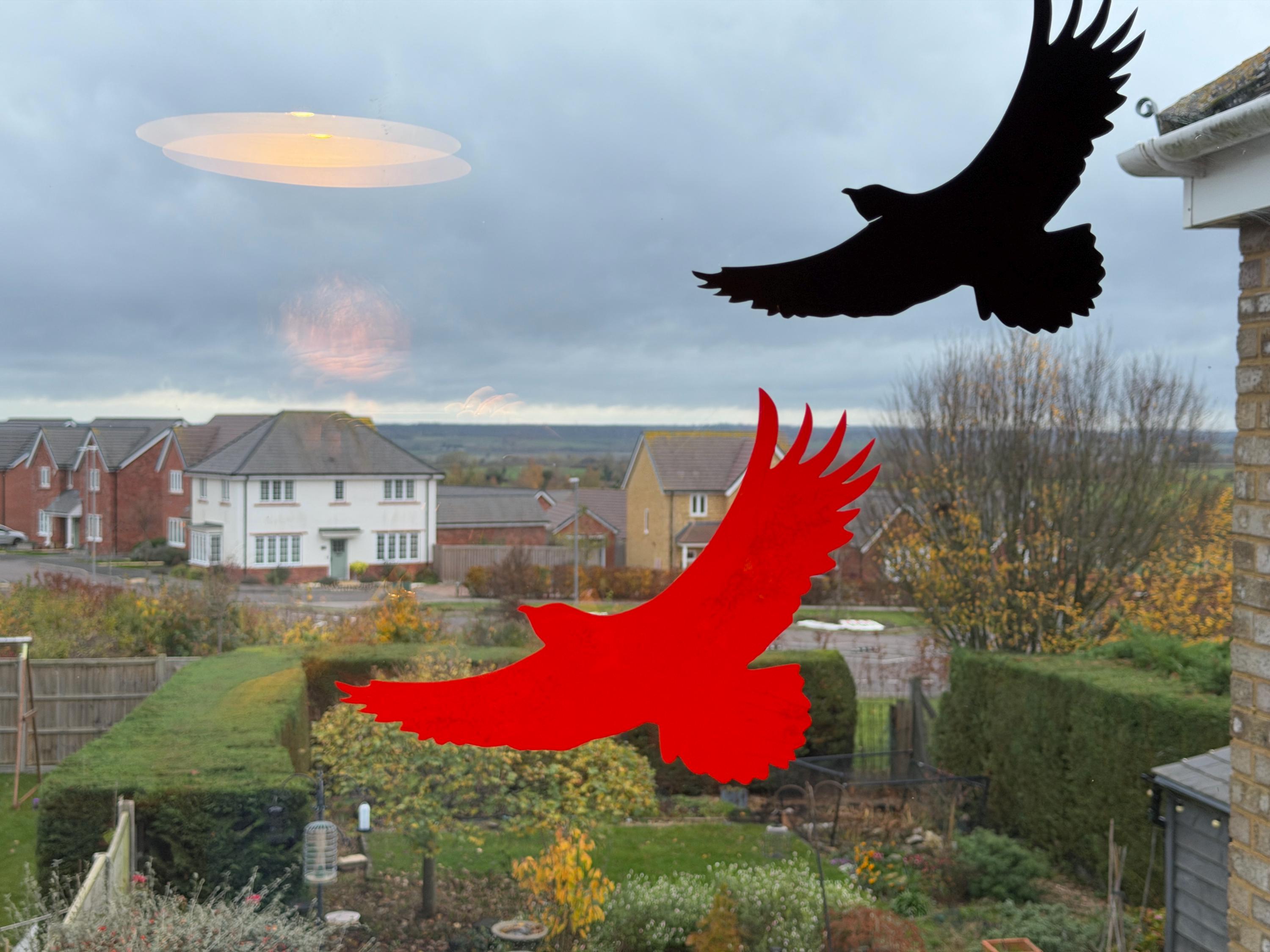 Window Hawk Sticker Vinyl - Bird Deterrent Window Hawk Silhouette, Anti-collision ...