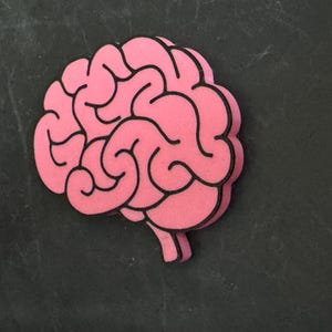 May include: A pink brain-shaped object with black outlines. The brain is a stylized representation, possibly a decorative item or a toy. The background is a dark, textured surface.