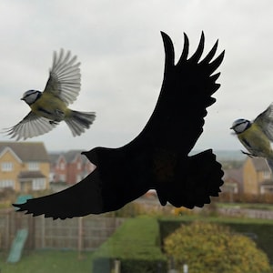May include: A window sticker showing a black silhouette of a large bird, possibly a hawk or eagle, with two smaller blue tits in flight. The background shows houses and a cloudy sky.