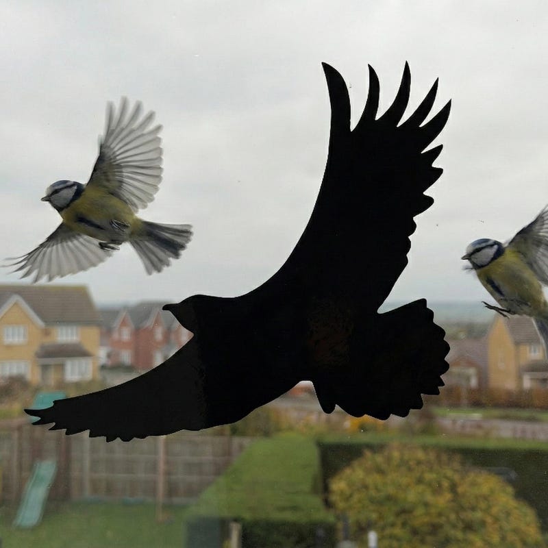 Window Hawk Birds Decals for Window - Etsy