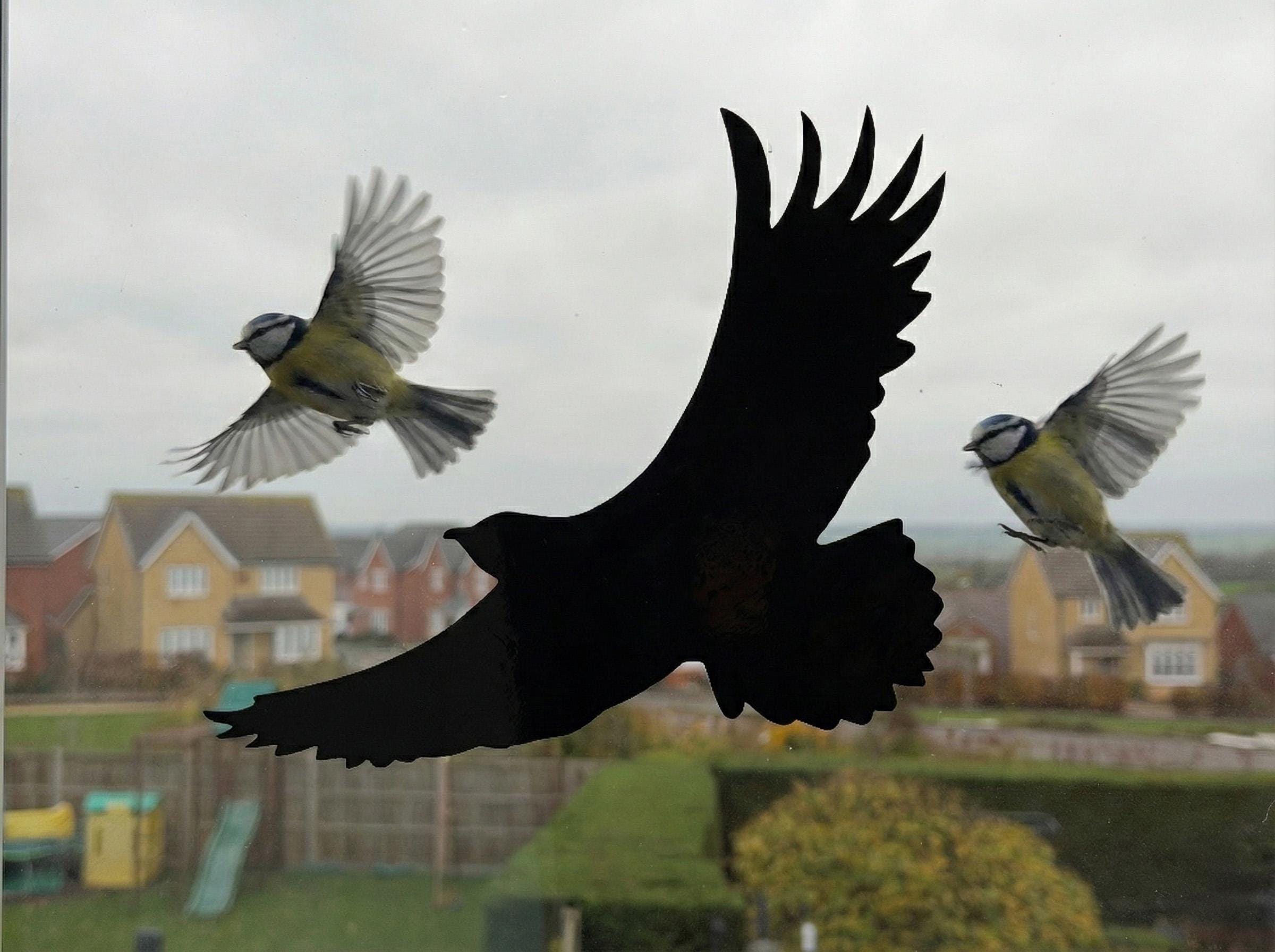 Window Hawk Sticker Vinyl - Bird Deterrent Window Hawk Silhouette, Anti-collision ...