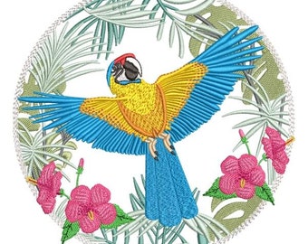 Macaw Embroidery Design 5 Different Sizes for Instant Download