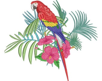 Macaw Embroidery Design 5 Different Sizes for Instant Download
