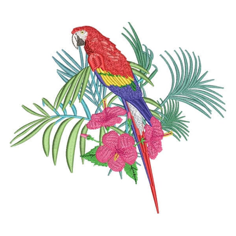 Parrot jessecmault design 5 different sizes for instant  etsy