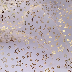 Gold Glitter Star Print Pattern Women Long Robe
