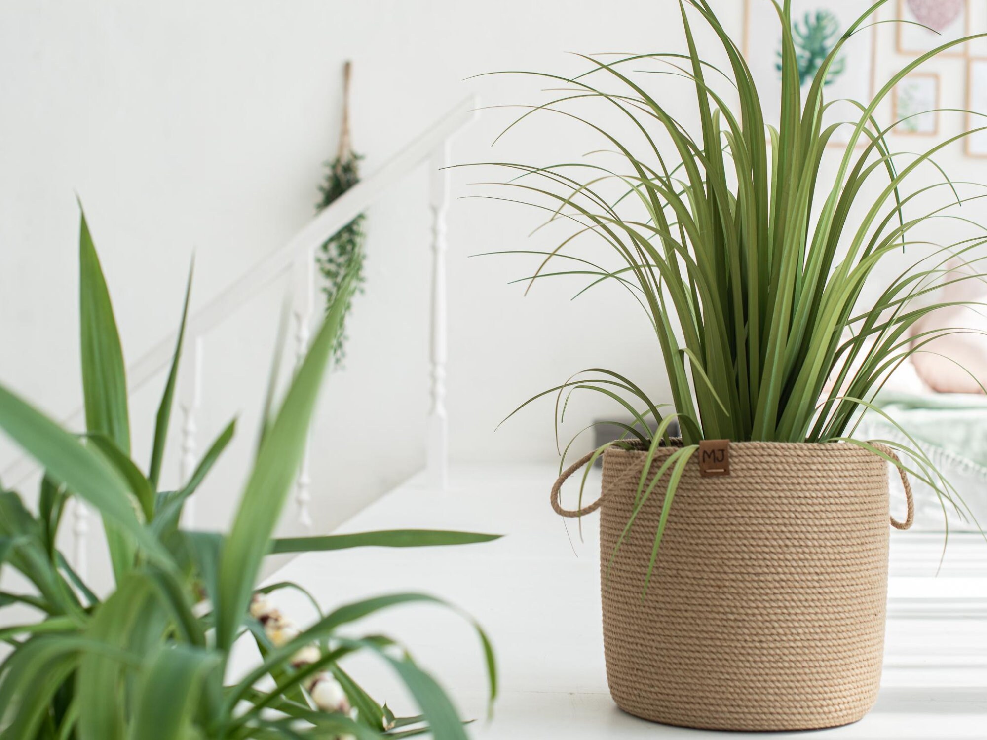 Plant jute rope large basket Etsy