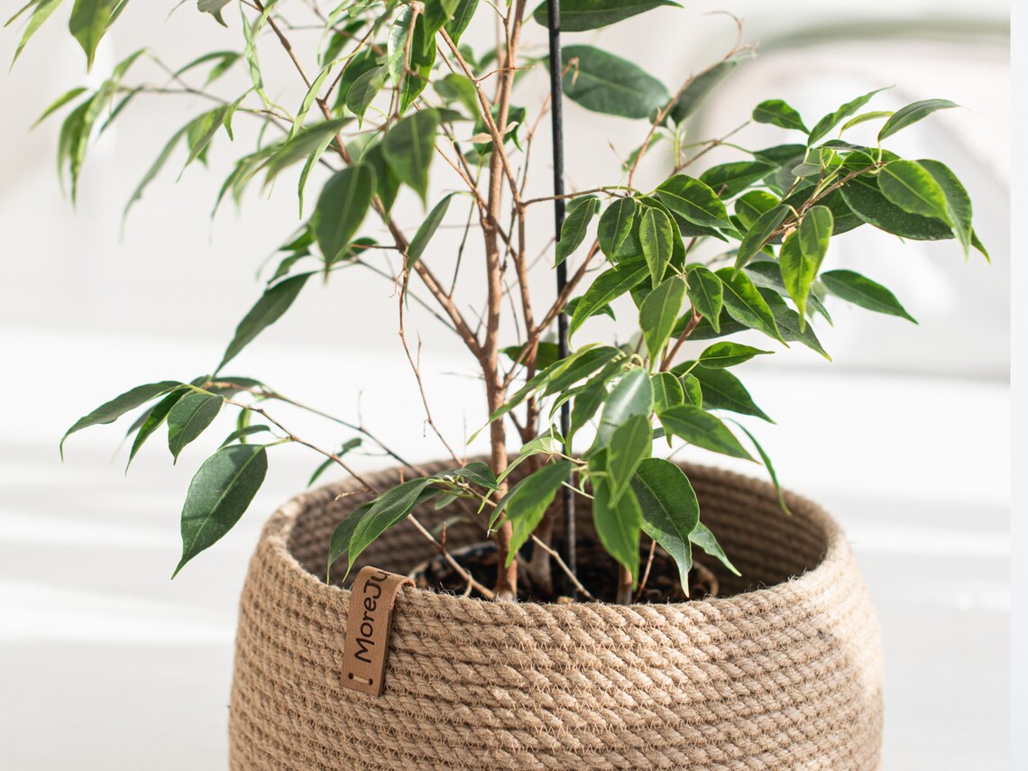 Jute rope plant stand basket rope plant pot jute planter Etsy