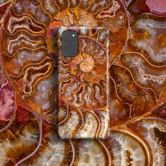 Buy Ammonite Shell Marble Phone Case for Samsung Galaxy S24 Ultra S23 Plus  S22 Plus S21 FE S20 S10 S9 S8 Note 20 10 S10e 10 A51 A52 A72 Online in  India 