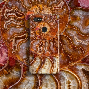 Custodia per telefono Ammonite / Disponibile per Google Pixel 9 Pro XL 9a Pixel 8 Pro 7 Pro Pixel 6 Pixel 5 Pixel 4 4a Custodia in marmo con conchiglie, regalo per ragazze