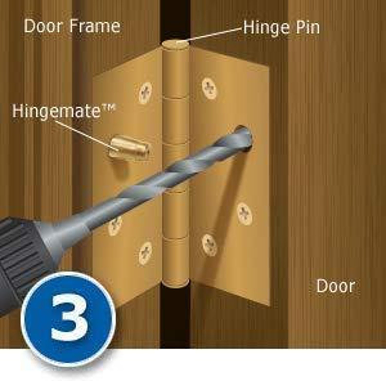 Door Hinge Security Pins / Screws / Stud 3pack Kit Etsy