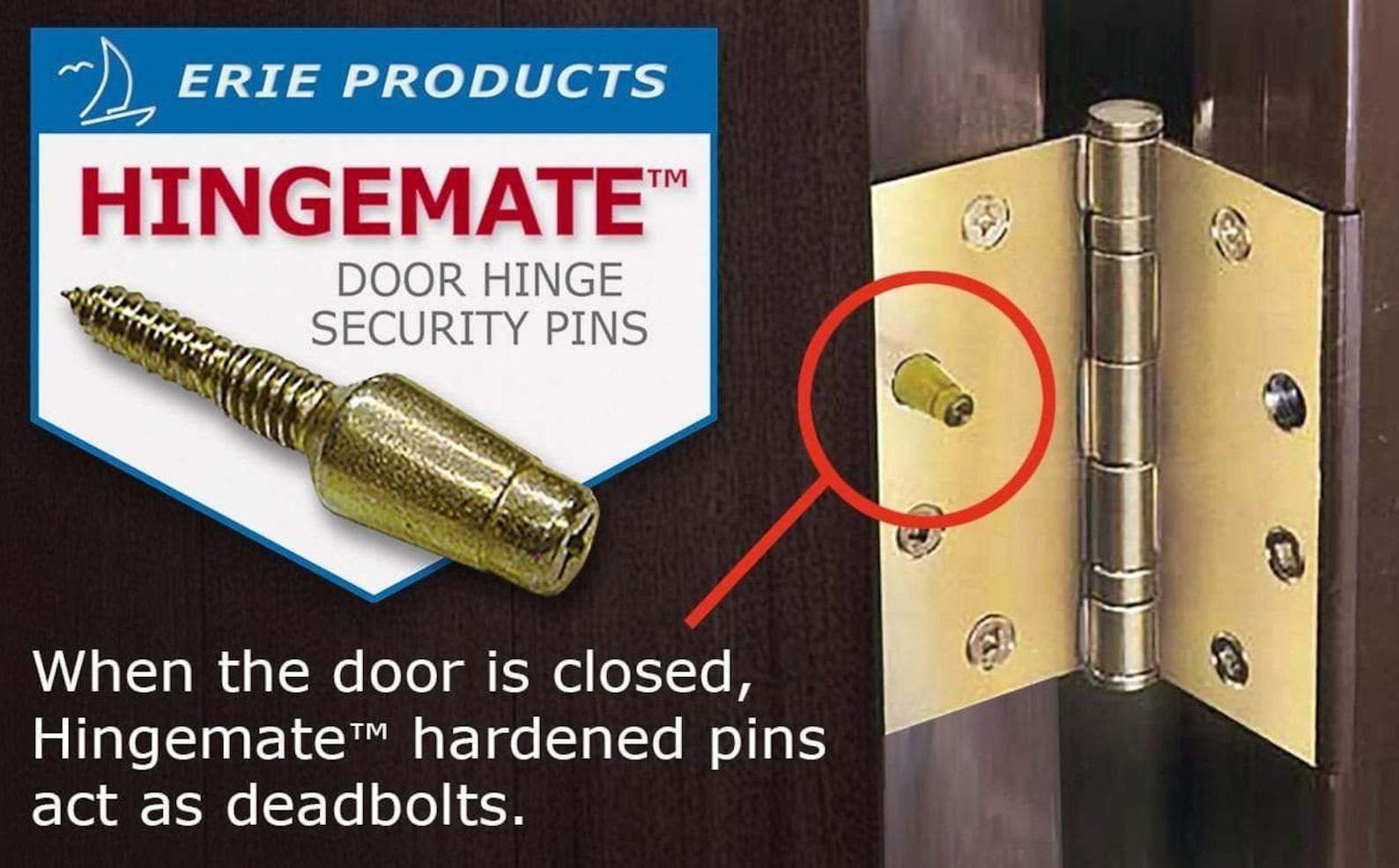 Door Hinge Security Pins / Screws / Stud 3pack Kit Etsy