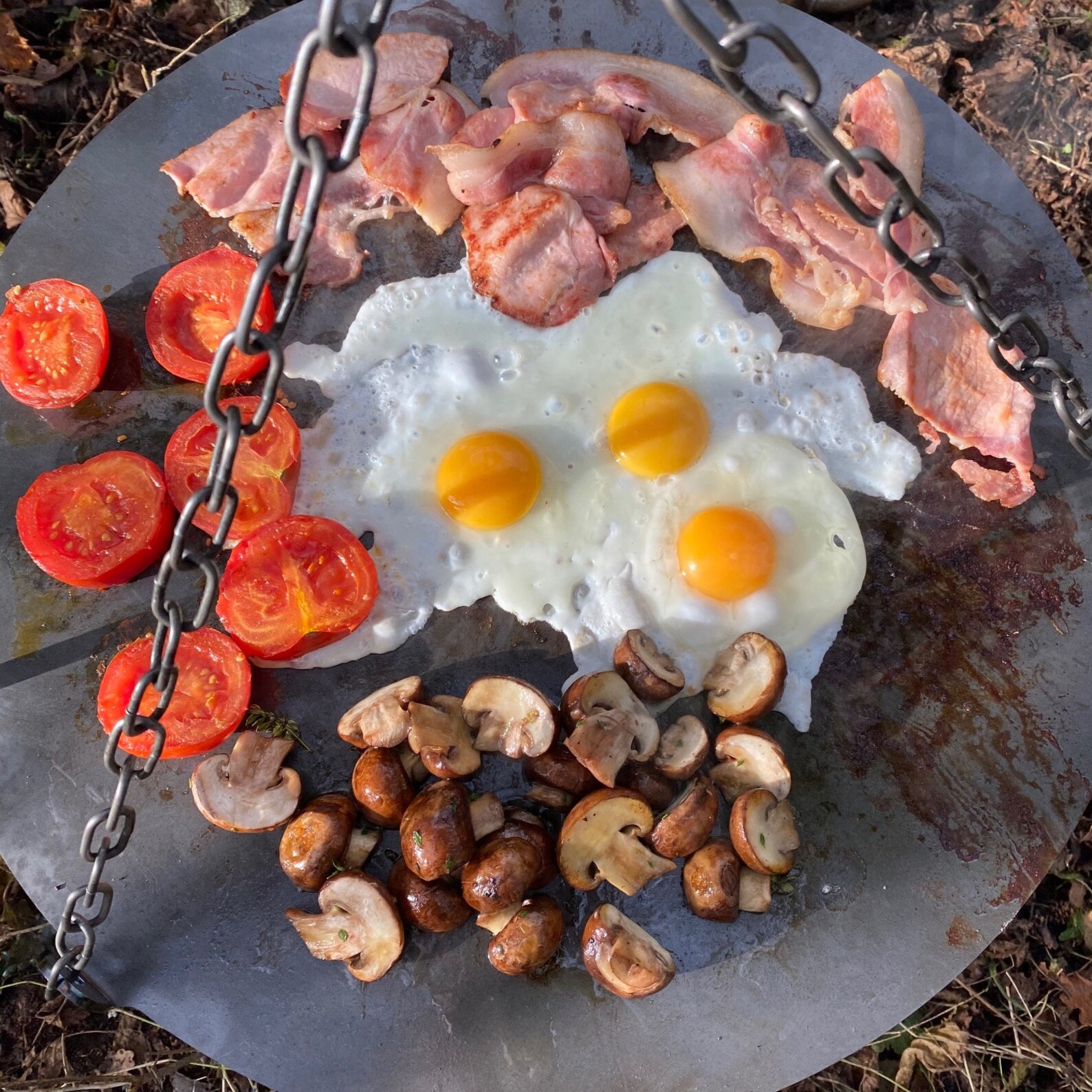 Hanging Campfire Griddle Plate Etsy