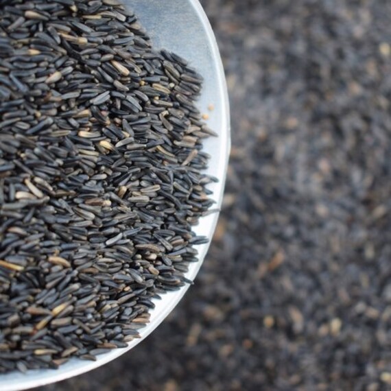 Niger Seed Bird Seed Bird Food Bird Feeder Nyjer Seed Etsy