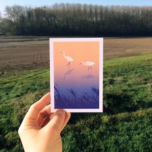 Carte postale décorative illustration nature