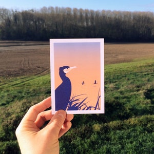 Carte postale illustrée oiseaux bords de Loire