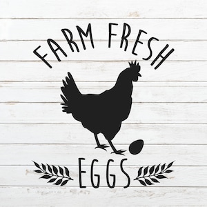 Farm Fresh Eggs svg, Chicken svg, Farm animal SVG, Farmhouse SVG, Farmers Market SVG, Hen svg, Farmhouse kitchen svg, Country svg