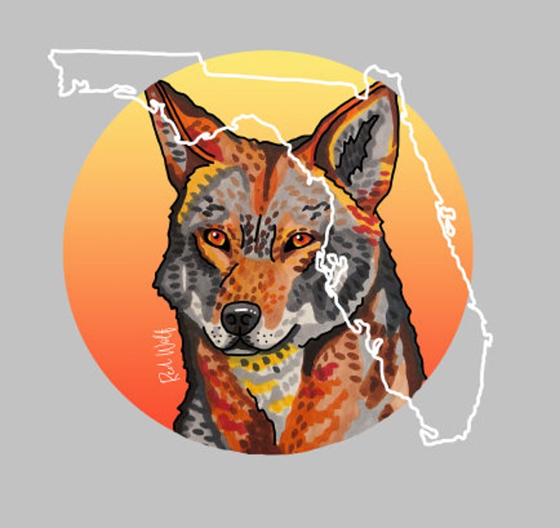 Florida Red Wolf Endangered Species Vinyl Sticker Miranda Etsy