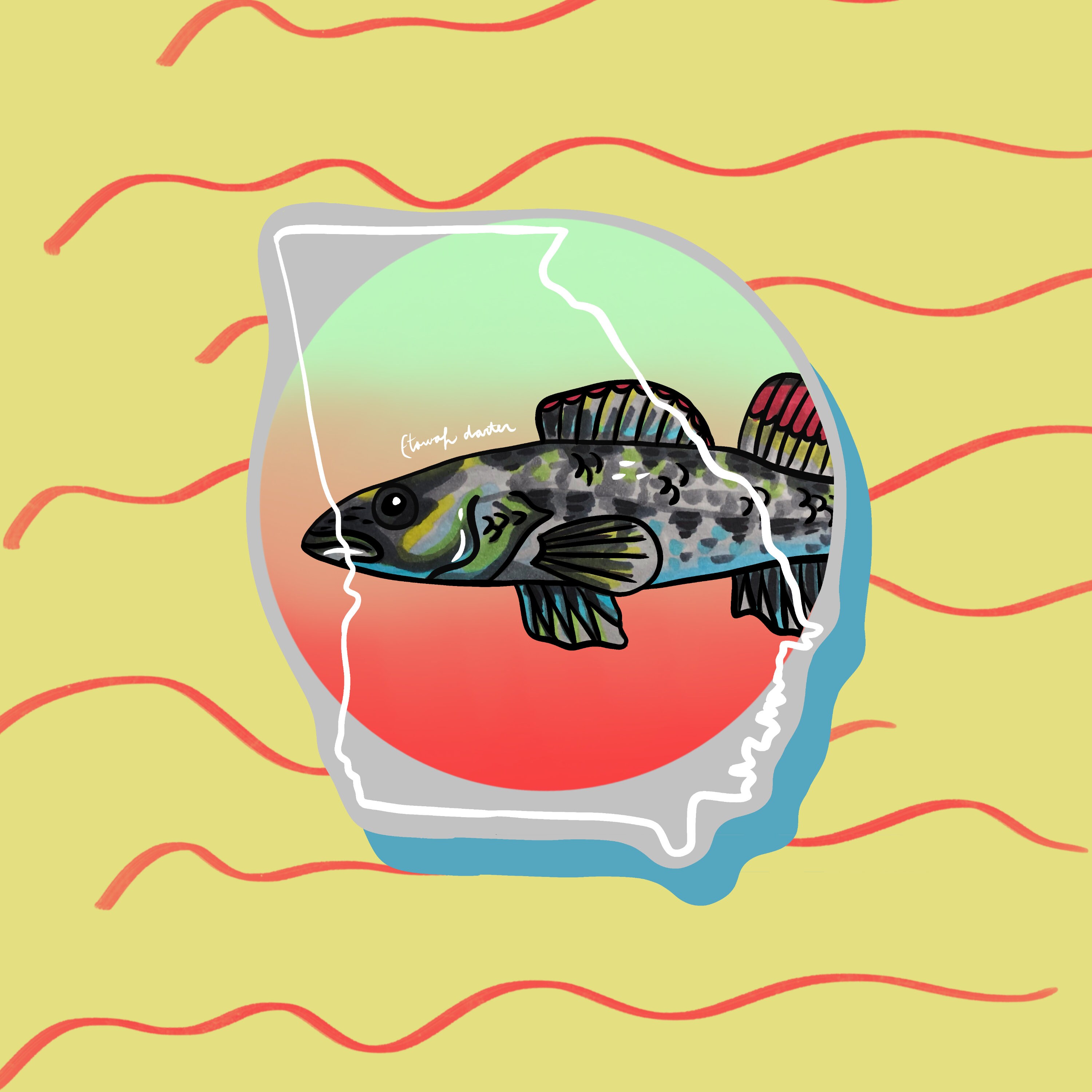 Etowah Darter Endangered Species Vinyl Sticker Etsy