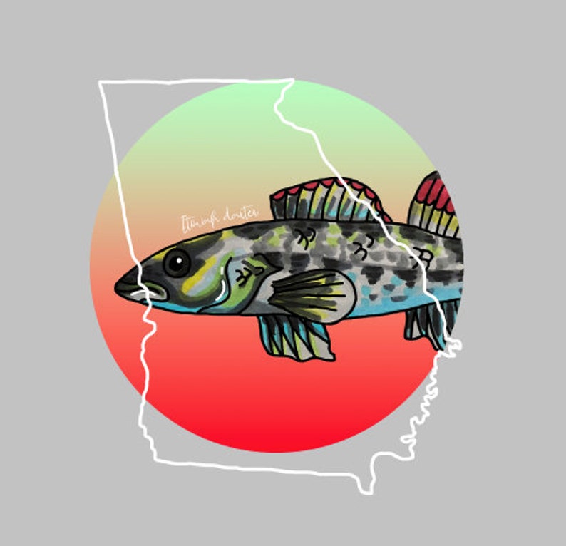 Etowah Darter Endangered Species Vinyl Sticker Etsy