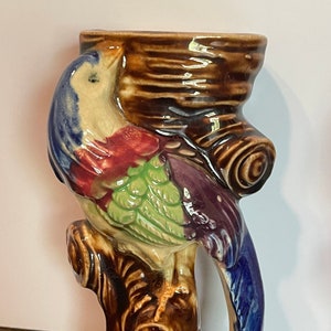 Può includere: Un vaso da parete in ceramica a forma di uccello posato su un ramo d'albero. L'uccello è dipinto in tonalità di blu, verde, rosso e giallo. Il ramo dell'albero è dipinto in marrone.