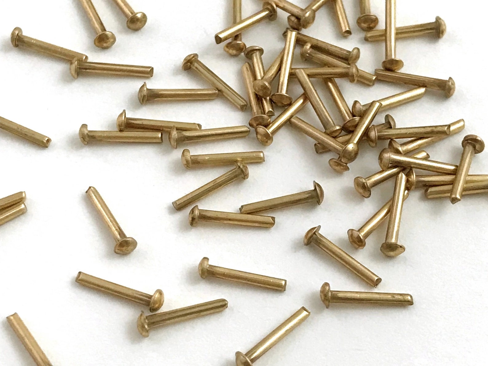 3/8 Solid Brass Round Head Rivets. 10 Mm X 2.5 Mm X 16 Etsy Ireland