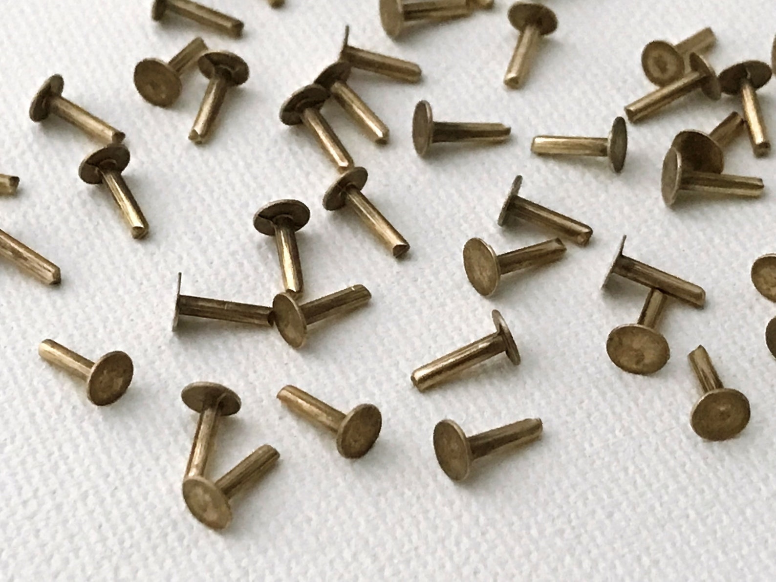 1/4 Solid Brass Rivet 16 G 3.81 Mm .150 Etsy